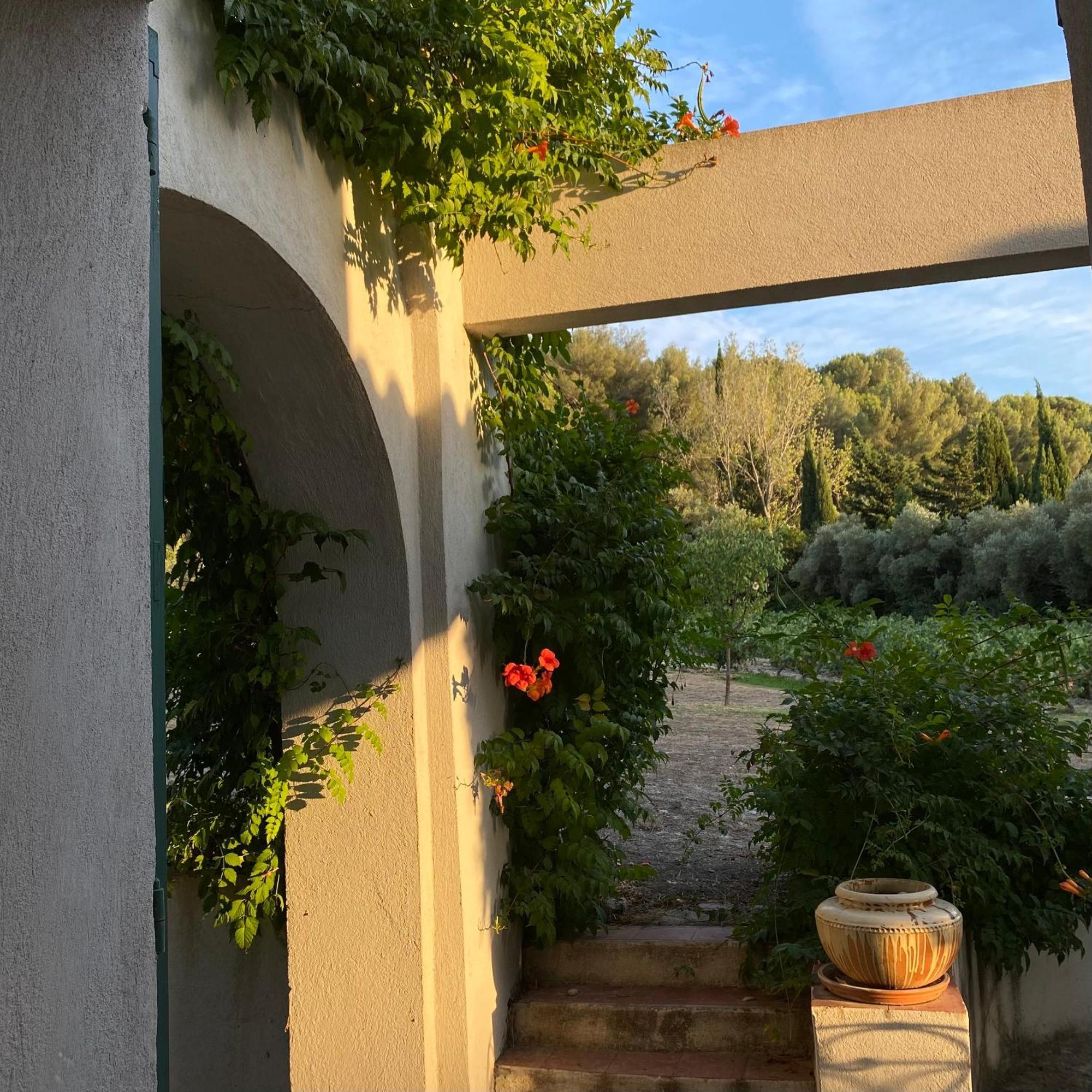 Villavos- Le Bocage Cassis Eksteriør bilde